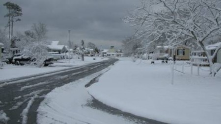 Snowy street with houses and trees.