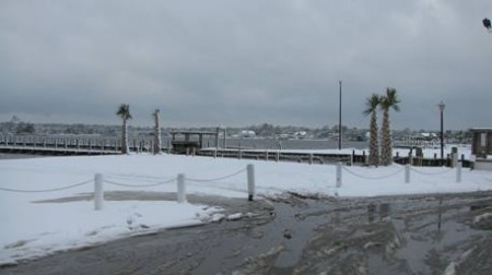Snow-covered dock with palm trees in the distance.