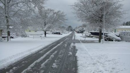 Snow-covered street with tire tracks and trees.