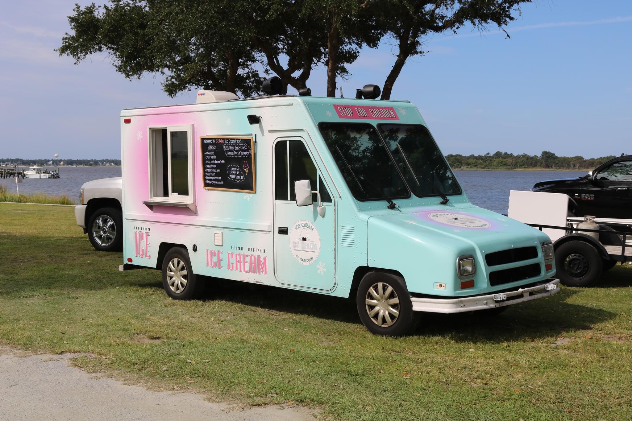 Blue ice cream truck parked on grass.